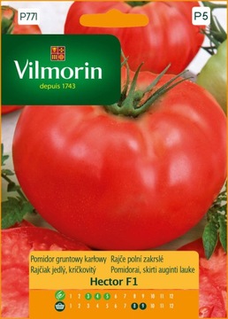 Pomidor karłowy Hector F1 VILMORIN
