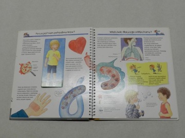 Мы знакомимся со своим телом. Дорис Рубель