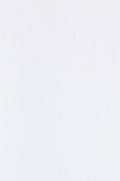 Рубашка мужская белая Próchnik PM28 L