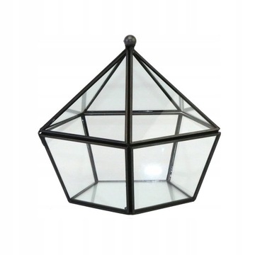 Современный геометрический стеклянный ящик для