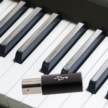 USB-АДАПТЕР ДЛЯ АУДИОКАБЕЛЯ СТЕРЕО ПИАНО-ПРИНТЕРА