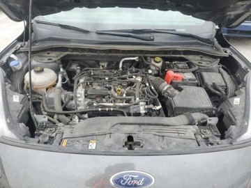 Ford Escape III 2020 Ford Escape Ford Escape SE 1.5 Benzyna 181KM, zdjęcie 11