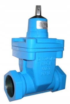 ZASUWA GWINTOWANA DO WODY PITNEJ DN25 1