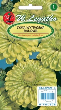 CYNIA WYTWORNA DALIOWA 1 g ENVY ZIELONA 'L