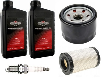 Zestaw obsługowy Briggs Intek 31R7, 31R8, 31R9