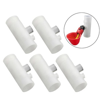 5 . для голубей для птиц для птицы для курицы