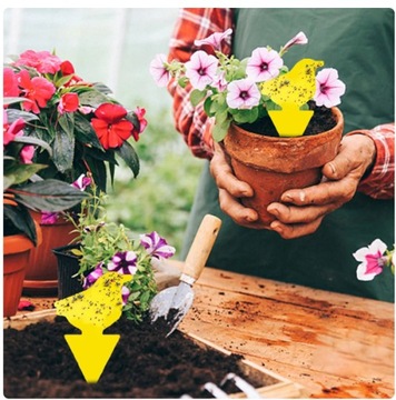 24 НАБОРА YELLOW POT PARTY для земляных комаров, тли, плодовых мух, насекомых