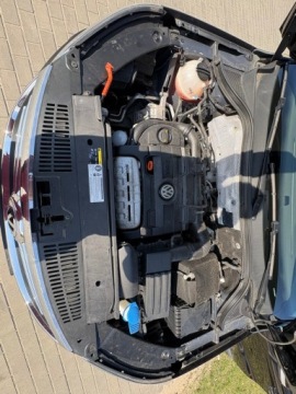 Volkswagen Tiguan I 2009 VOLKSWAGEN TIGUAN 1.4 benzyna zarejestrowany, zdjęcie 10