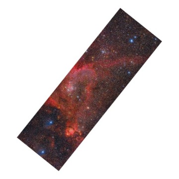 Лестница для лонгборда Griptape Star
