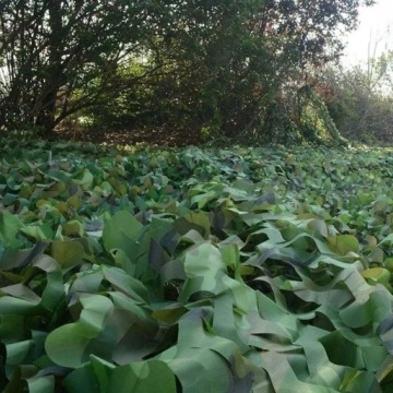 Маскирующая сетка военного сада сетка 1,2x25M.