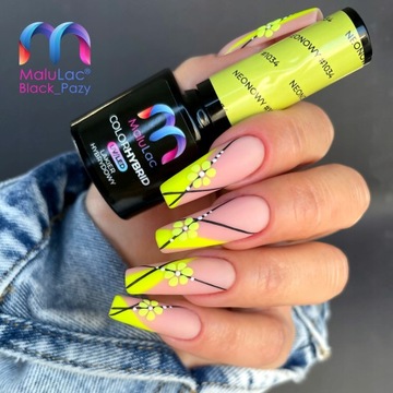 ГИБРИДНЫЙ СТАРТОВЫЙ НАБОР Malulac БАЗА-ТОП КРАСКА