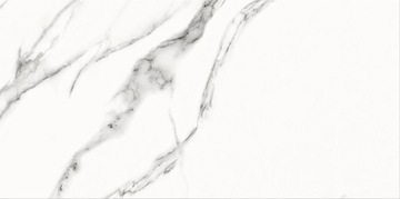 Special Marble white glossy 29,8x59,8 Opoczno