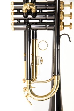 Труба в настройке Bb Roy Benson TR-101K