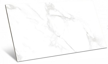 Płytka gresowa ACROPOL WHITE POLISHED 60x120 cm