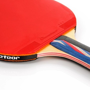 РАКЕТКА ДЛЯ НАСТОЛЬНОГО ТЕННИСА ДЛЯ ПИНПОНГА METEOR MISTRAL 3*