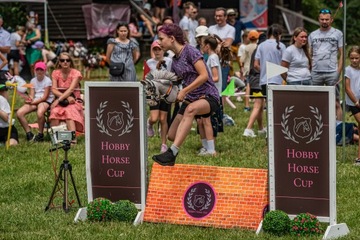 HorseMania - Мини-стена для хобби-лошадей, безопасное препятствие