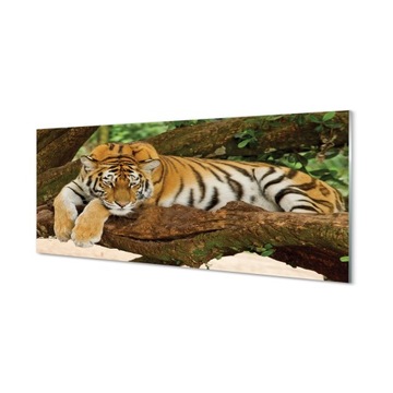 Nowoczesny panel kuchenny Drzewo tygrys 125x50 cm