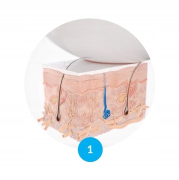 PERSPIREX STRONG шариковый 20 мл, ранее называвшийся ETIAXIL