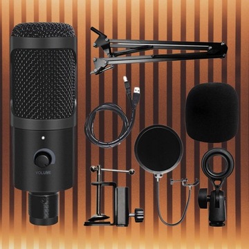 Комплект конденсаторного микрофона DNA CM USB KIT, кабель поп-фильтра на кронштейне