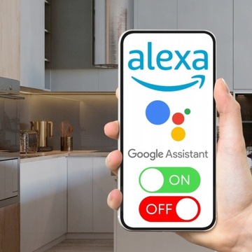 ТАЙМЕР ИНТЕЛЛЕКТУАЛЬНАЯ АВТОМАТИЧЕСКАЯ РОЗЕТКА SMART CONNECT WIFI