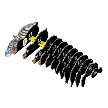 Senny Niedźwiedź Brunatny Samodzielnie Układanka