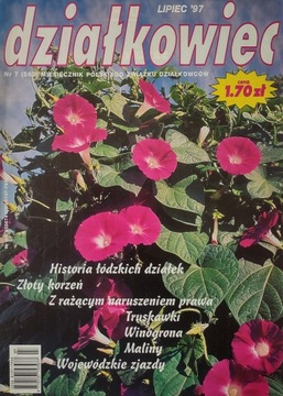 Działkowiec 7 1997