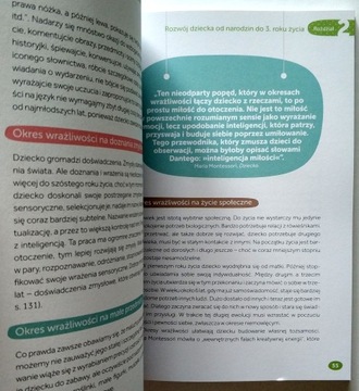 МЕТОДИКА МОНТЕССОРИ ДЛЯ ТРЕТЬЕГО ГОДА, ПУССЕН