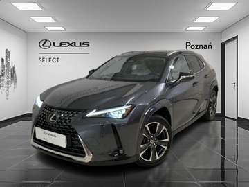 Lexus UX Crossover Facelifting 2.0 300h 199KM 2024 Lexus UX 300h Omotenashi AWD