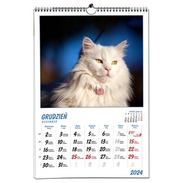 Настенный календарь 2024 B3 33 x 48 см 7 досок CATS