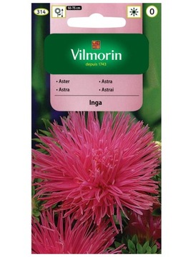 ASTER CHIŃSKI IGIEŁKOWY INGA 0,5 G VILMORIN