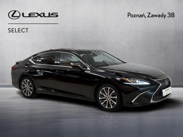 Lexus ES VII (XV70) Sedan 300h 218KM 2019 Lexus ES 300h Business Edition Lexus ES 300h Busin, zdjęcie 7