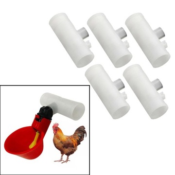 5 . для голубей для птиц для птицы для курицы