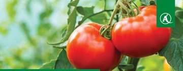 Кристалон зеленый NPK 18-18-18 3кг UNIVERSAL RICH INGREDIENTS BIG CRIFTS