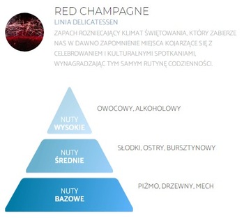 Освежитель воздуха SPRING AIR CHAMPAGNE 250мл