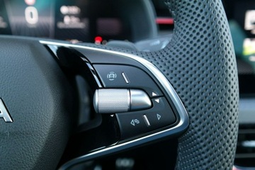 Skoda Kamiq Crossover Facelifting 1.0 TSI 115KM 2025 Škoda Kamiq Skoda Kamiq Monte Carlo 1.0 TSI 115, zdjęcie 14