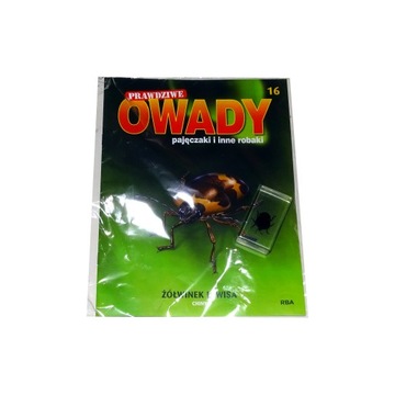 Kolekcja Prawdziwe Owady 16 ŻÓŁWINEK LEWISA