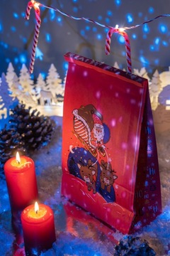 РОЖДЕСТВЕНСКИЕ подарочные блок-пакеты, по 10 штук в ПОДАРОК, бумажные пакеты