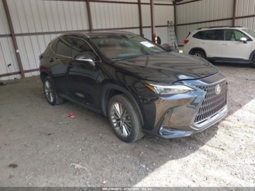 Lexus NX II 2023 Lexus NX 2023 LEXUS NX 350H PREMIUM 2.5 Hybryda 189KM, zdjęcie 1