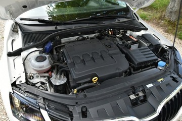 Skoda Octavia III Liftback Facelifting 1.6 TDI 115KM 2019 Škoda Octavia Skoda Octavia 1.6TDi 116KM 2019r., zdjęcie 27