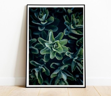 КАРТИНЫ ПОСТЕРЫ НАБОР 3 ШТ. А4 РАСТЕНИЯ ЛИСТЬЯ