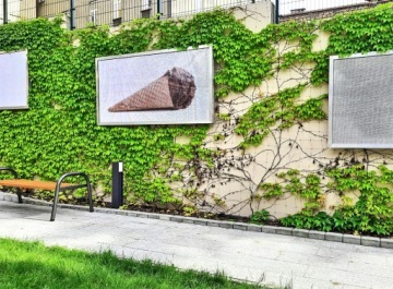 ПОДДЕРЖИВАЮЩАЯ СЕТКА, ПОДДЕРЖКА РАСТЕНИЙ, ВЗЛЕТНИКОВ, ОГУРЦА, ФАСОЛЬ, ГОРОХ, 1,5х10м