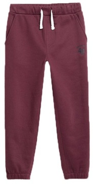 ДЕТСКИЕ СПОРТИВНЫЕ БРЮКИ 4F ДЛЯ МАЛЬЧИКОВ, ХЛОПОК AW23M419