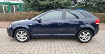 Audi A3 8P Hatchback 3d 2.0 FSI 150KM 2003 Audi A3 3-drzwiowe Audi A3 3-drzwiowe 2.0 FSI Attraction 2.0 Benzyna 150KM, zdjęcie 8