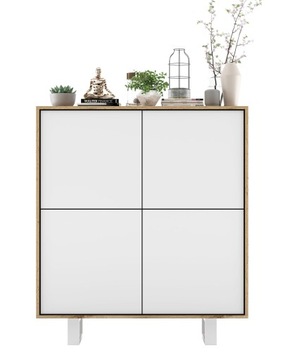 Industrialna komoda Loft szafka RTV Biały MAT 113