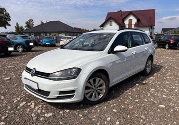Volkswagen Golf VII Variant 1.4 TSI BlueMotion Technology 125KM 2016 Volkswagen Golf 1.4B 125KM serwisowany bezwypadkowy stan bdb xenon salon P, zdjęcie 14