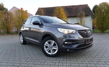 Opel 2017 Opel Grandland X Bezwypadkowy Serwisowany 1-Wlasciciel Grz.Fotele Kierowni, zdjęcie 12