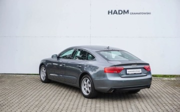 Audi A5 8T Coupe Facelifting 1.8 TFSI 170KM 2012 Audi A5 Sportback Audi A5 Sportback 1.8 TFSI 170KM 1.8 Benzyna 170KM, zdjęcie 5