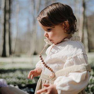 Резиновая пудра для пустышки Daisy, синяя, размер 1 Frigg