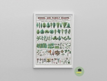 Plakat A4 Liście kwiaty drzewa plansza reprodukcja