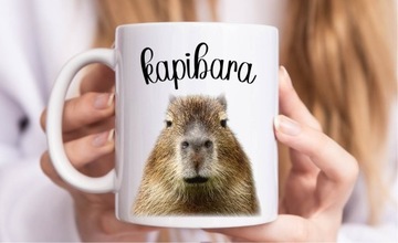 Кружка КАПИБАРА, подарочная, 330мл, коробка